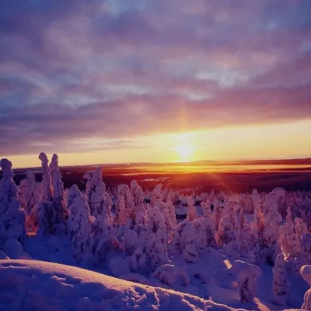 Lomanaamanka Naava-hirsimoekki Apartment *