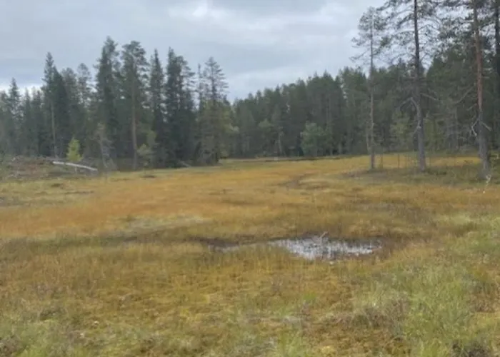 Lomanaamanka Naava-hirsimoekki Syöte